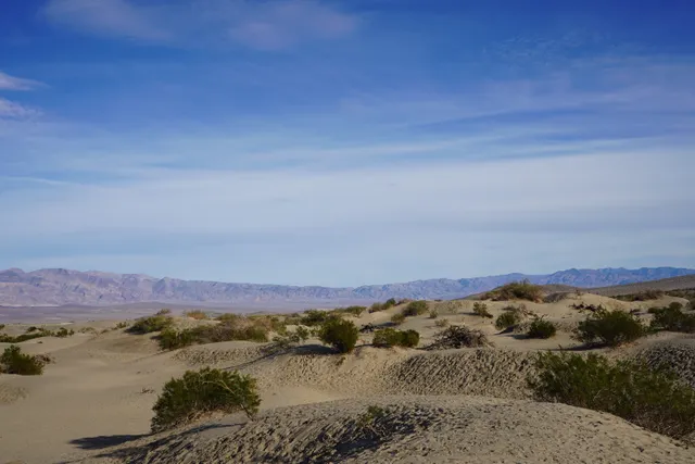Picture in Death Valley National Park