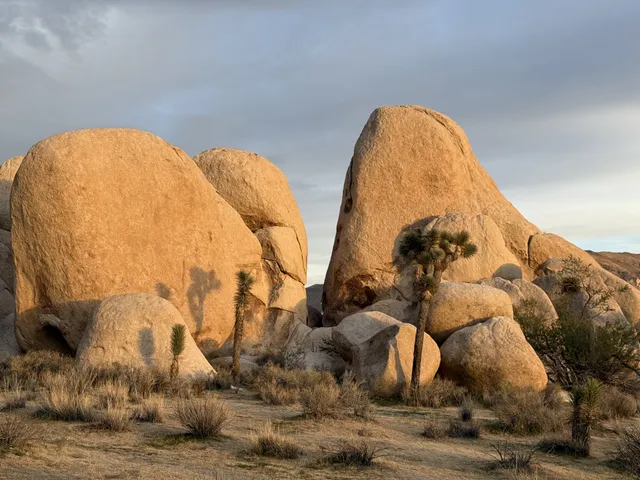 Joshua Tree National Park