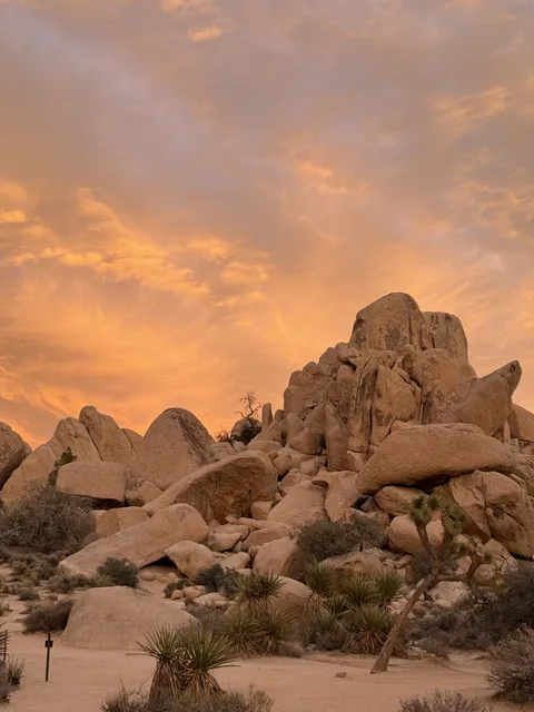 Sunset in Joshua Tree National Park