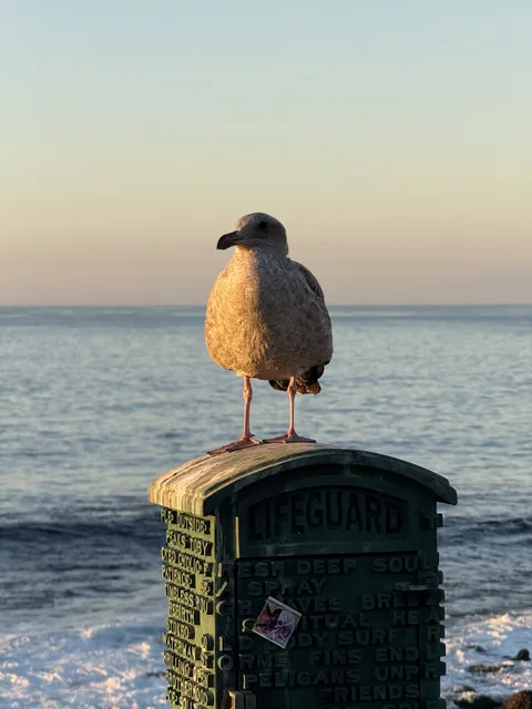 La Jolla Cove, San Diego, CA