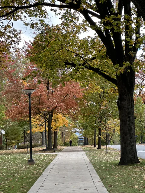 Pennsylvania State University