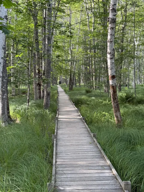 Wild Gardens of Acadia
